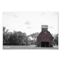 Red Photo