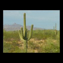 Red Picacho 408 posters