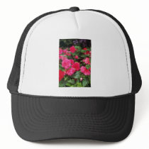 Red Pink and red begonias, Victoria, British Colum Mesh Hat