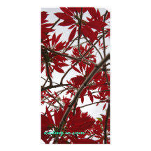 red poinsetia customized photo card