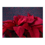 red poinsettias on decorative background postcard