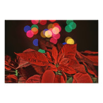 Red Pointsettia and Bright Coloured Lights Photo Print