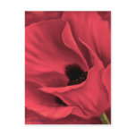 Red Poppies Flower Art Painting - Multi