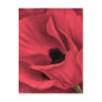 Red Poppies Flower Art Painting - Multi