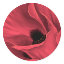 Red Poppies Flower Art Painting - Multi
