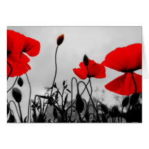 Red Poppies Greeting Card