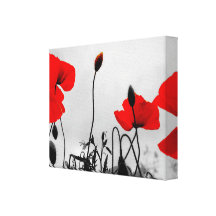 Red Poppies in the Field Gift Canvas Stretched Canvas Prints