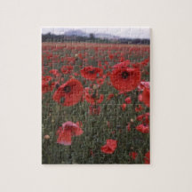red poppies puzzle
