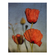 Red Poppies Wedding RSVP Card Personalized Announcement