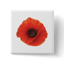 Red Poppy