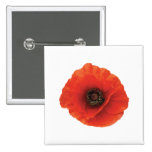 Red Poppy Button