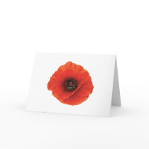 Red Poppy