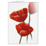 Red poppy card