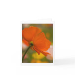 Red Poppy Cards