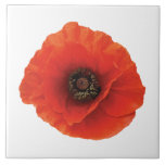 Red Poppy Ceramic Tiles