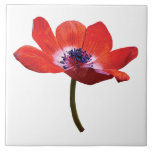 Red Poppy Closeup Ceramic Tile