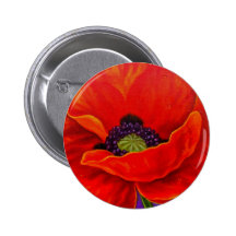 Red Poppy Flower Painting - Multi Button