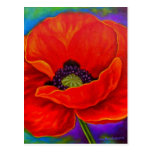 Red Poppy Flower Painting - Multi Postcard