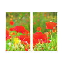 Red Poppy Flowers meadow Fine art Canvas Canvas Prints
