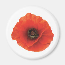 Red Poppy Fridge Magnets