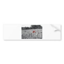 red poppy in a black and white field bumper stickers