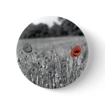 red poppy in a black and white field buttons