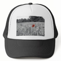red poppy in a black and white field mesh hats