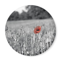 red poppy in a black and white field refrigerator magnet