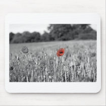 red poppy in a black and white field mousepad
