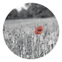 red poppy in a black and white field sticker