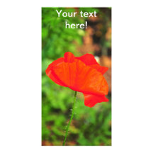 Red poppy photo cards