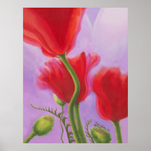 Red Poppy Poster