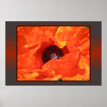 Red Poppy Print