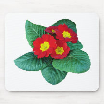Red Primroses Mouse Pads