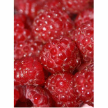 Red Raspberries close up photograph Photo Sculptures