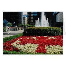Red Red and white maple leaf display, Vancouver, C Cards