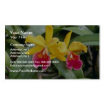 Red Red and yellow cattleya orchid flowers Business Card