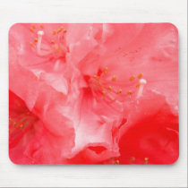 red rhododendron flowers mousepads