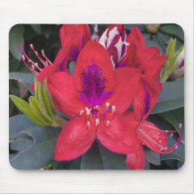 Red Rhododendron Mouse Pad