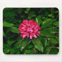 red rhody bloom mouse pad