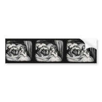Red Riding Hood Bumper Stickers