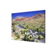 Red Rock Canyon National Conservation Area, Las Stretched Canvas Prints