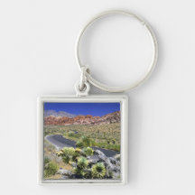 Red Rock Canyon National Conservation Area, Las Keychains