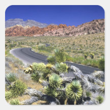 Red Rock Canyon National Conservation Area, Las Stickers