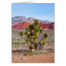 Red Rock Canyon, Nevada Greeting Cards