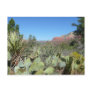 Red Rocks and Cacti Sedona Postcard
