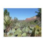 Red Rocks and Cacti Sedona Postcard