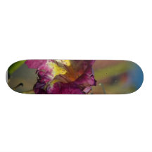 Red Rocks Canyon Joshoa Trees Deserts Skate Deck