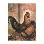 Red Rooster, Brown Hen and Baby Chicks on Straw Post Cards