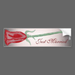 Red Rose (1) bumper stickers